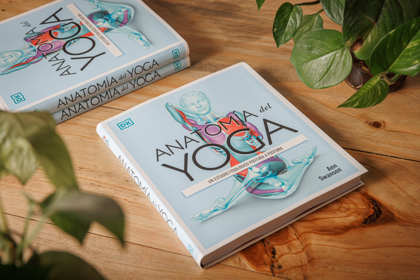 Anatomia del Yoga