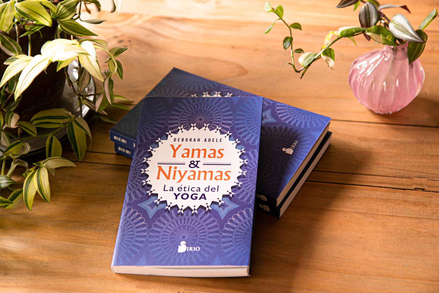 Yamas & Niyamas